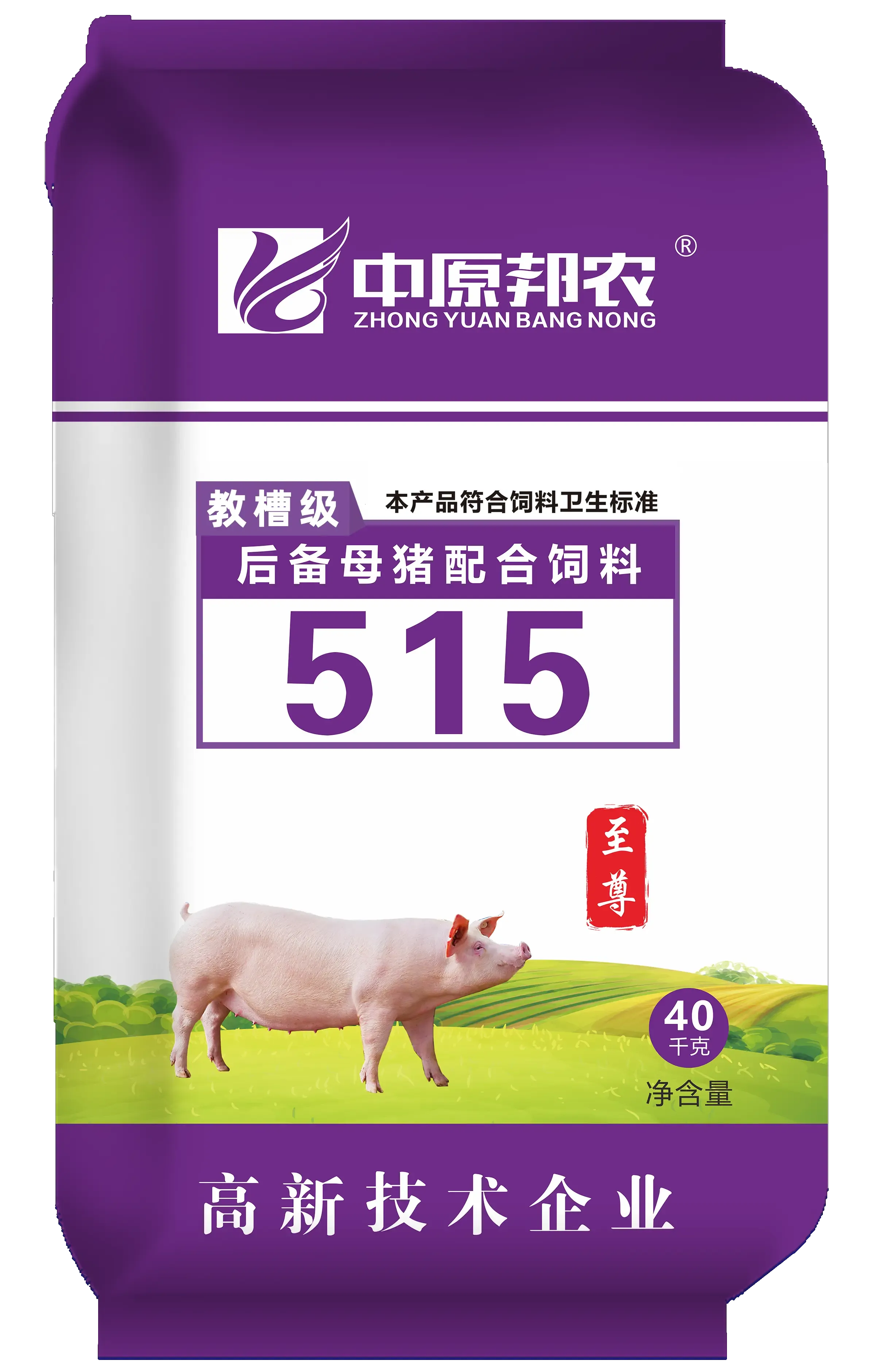 t2309-518正 拷贝.webp